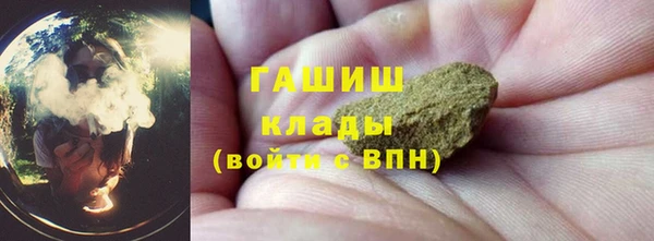 хмурый Верея