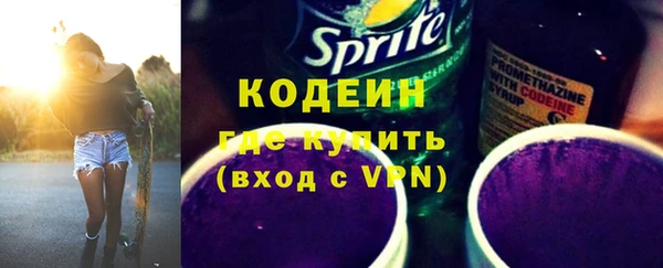 хмурый Верея