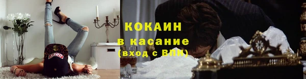 хмурый Верея