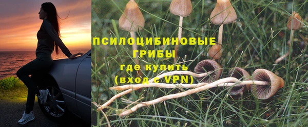 хмурый Верея