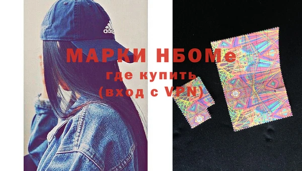 хмурый Верея