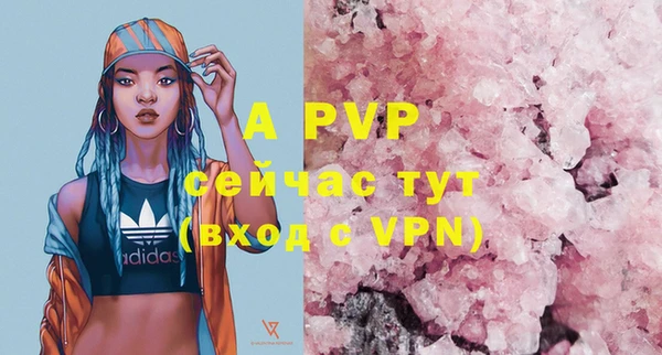 хмурый Верея