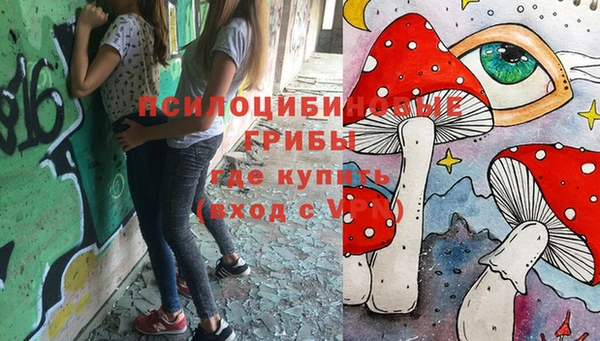 мескалин Верхний Тагил
