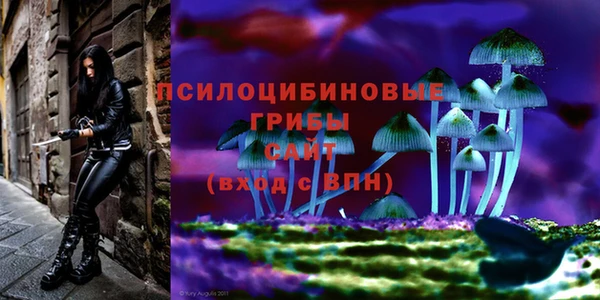 ешки Верхнеуральск