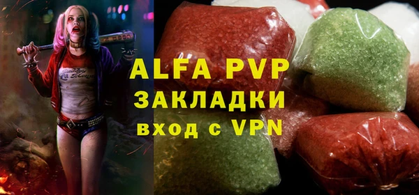 хмурый Верея