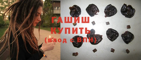 хмурый Верея