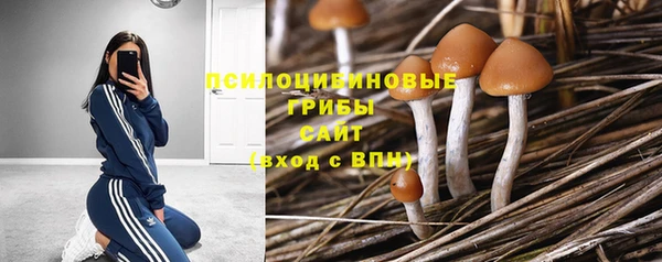 мескалин Верхний Тагил