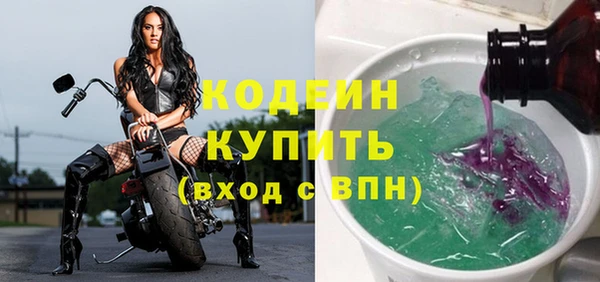хмурый Верея