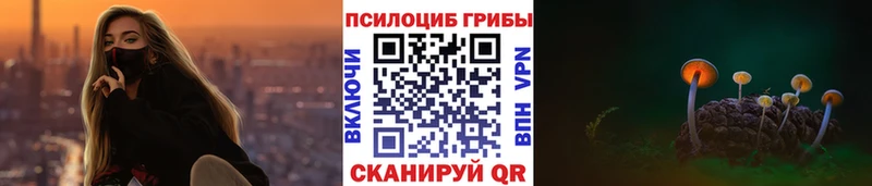 Псилоцибиновые грибы прущие грибы  Купить закладки  Шиханы 